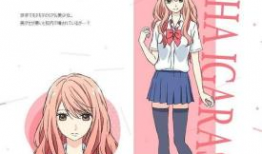 黄动漫3d,探索虚拟世界的奇幻之旅